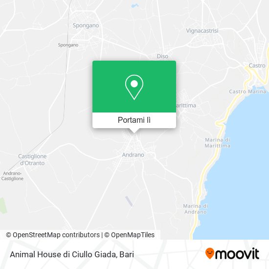 Mappa Animal House di Ciullo Giada
