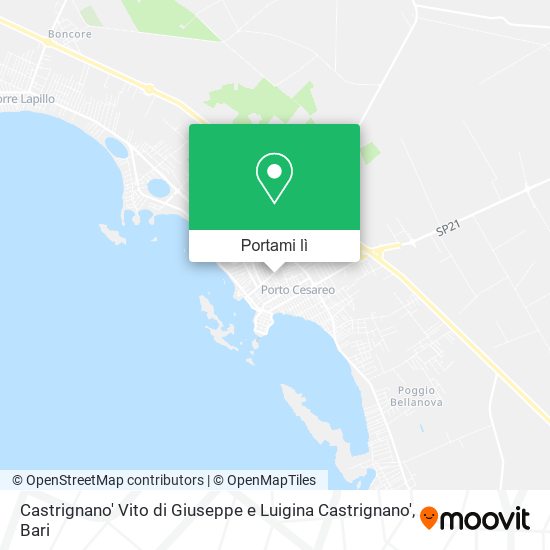 Mappa Castrignano' Vito di Giuseppe e Luigina Castrignano'