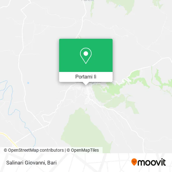 Mappa Salinari Giovanni