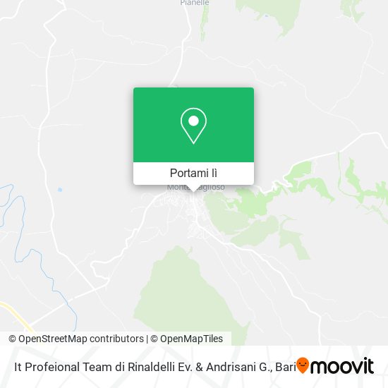 Mappa It Profeional Team di Rinaldelli Ev. & Andrisani G.
