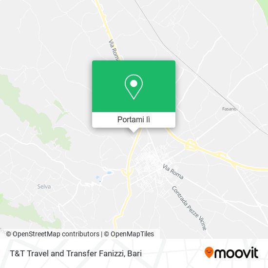 Mappa T&T Travel and Transfer Fanizzi