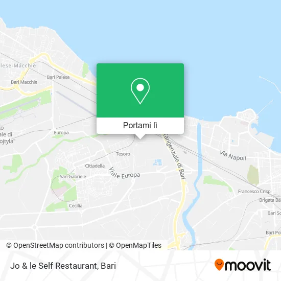 Mappa Jo & le Self Restaurant