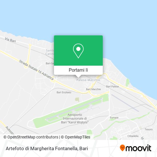 Mappa Artefoto di Margherita Fontanella