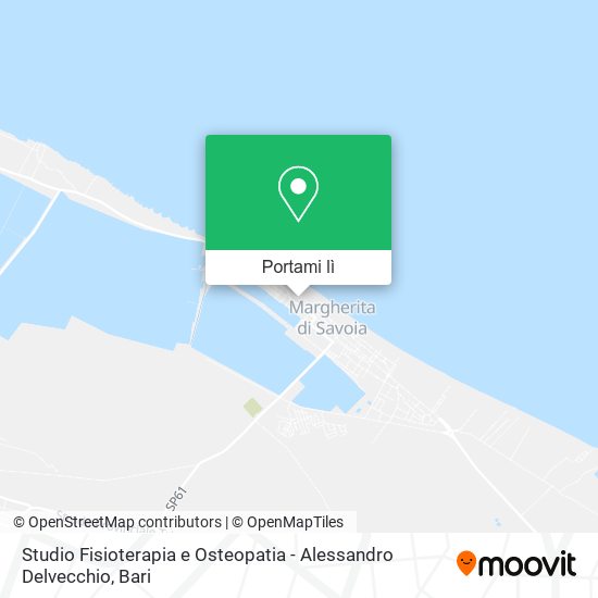 Mappa Studio Fisioterapia e Osteopatia - Alessandro Delvecchio