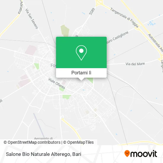 Mappa Salone Bio Naturale Alterego