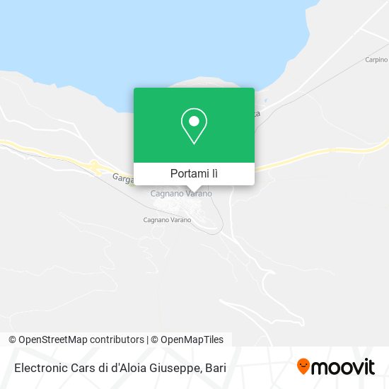 Mappa Electronic Cars di d'Aloia Giuseppe