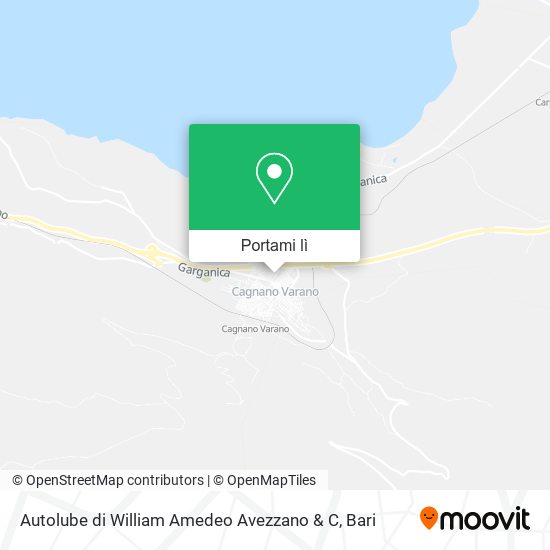 Mappa Autolube di William Amedeo Avezzano & C