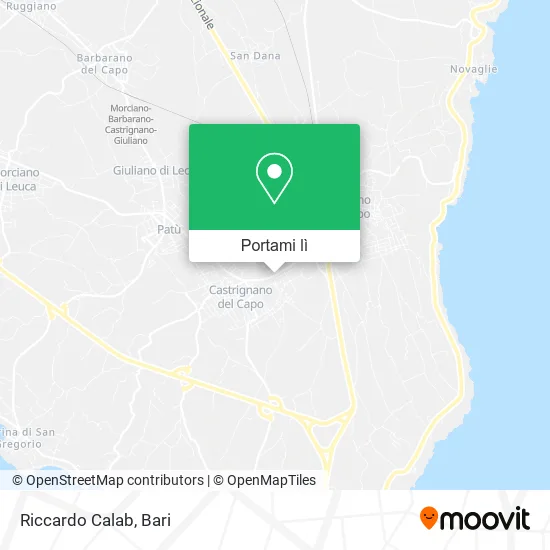 Mappa Riccardo Calab