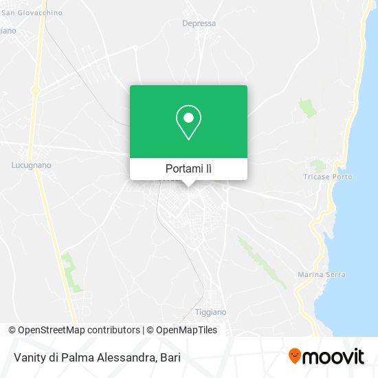 Mappa Vanity di Palma Alessandra