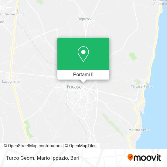 Mappa Turco Geom. Mario Ippazio