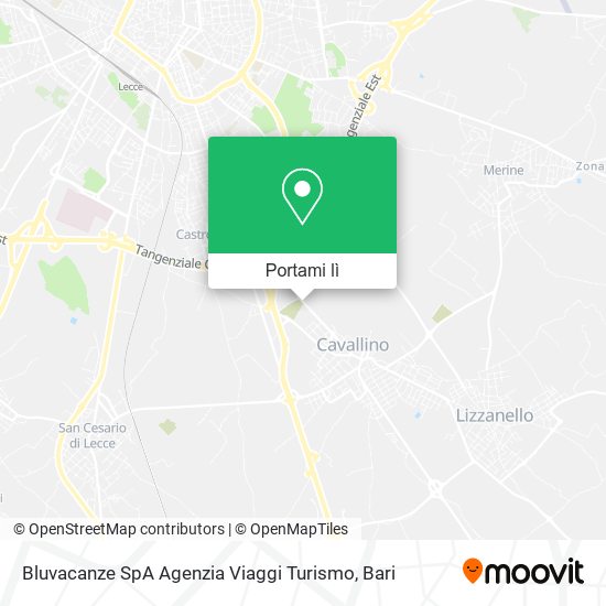Mappa Bluvacanze SpA Agenzia Viaggi Turismo