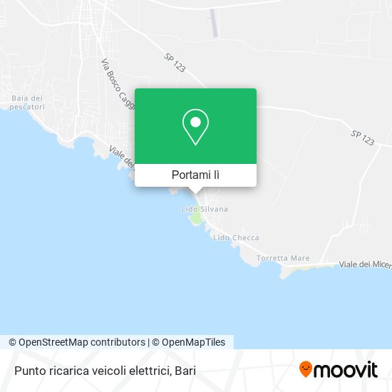 Mappa Punto ricarica veicoli elettrici