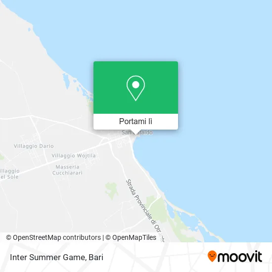 Mappa Inter Summer Game