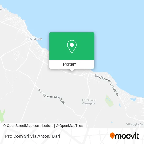 Mappa Pro.Com Srl Via Anton.