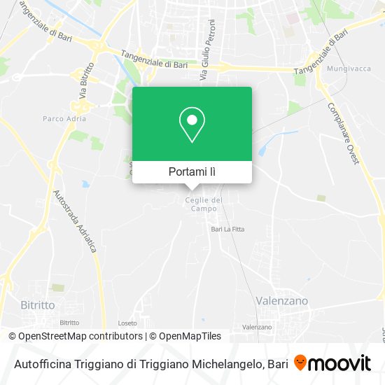Mappa Autofficina Triggiano di Triggiano Michelangelo