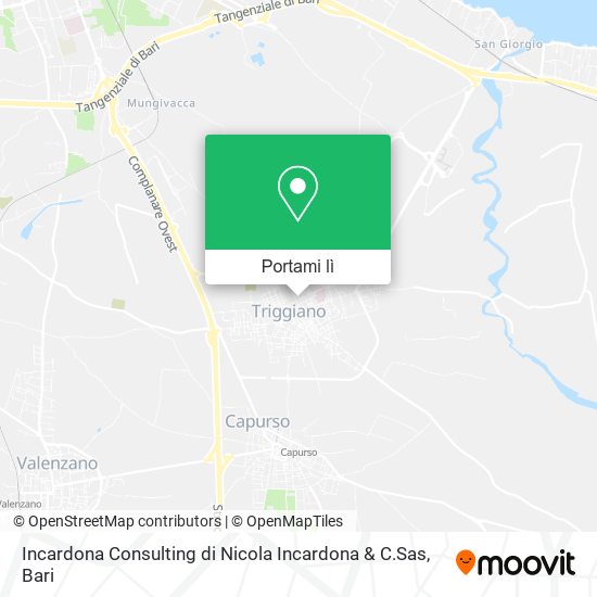 Mappa Incardona Consulting di Nicola Incardona & C.Sas