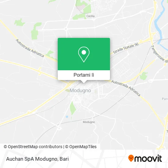 Mappa Auchan SpA Modugno