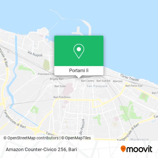Mappa Amazon Counter-Civico 256