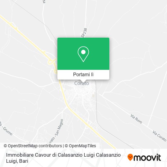 Mappa Immobiliare Cavour di Calasanzio Luigi Calasanzio Luigi