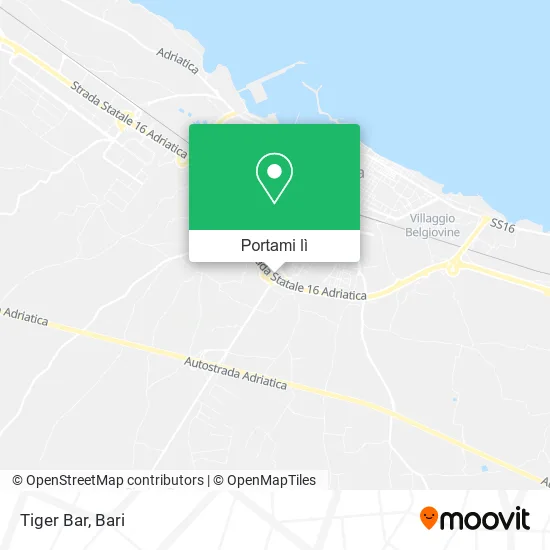 Mappa Tiger Bar