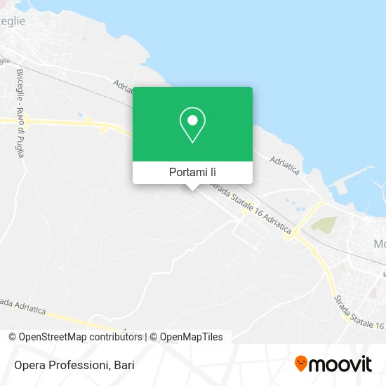 Mappa Opera Professioni