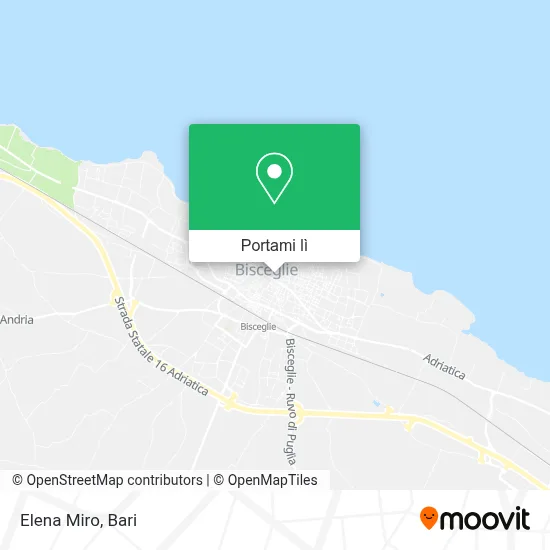 Mappa Elena Miro