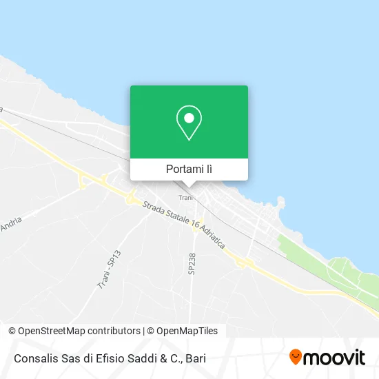 Mappa Consalis Sas di Efisio Saddi & C.