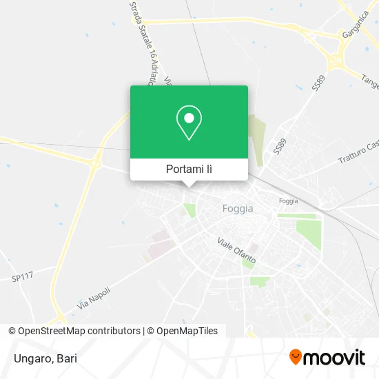 Mappa Ungaro