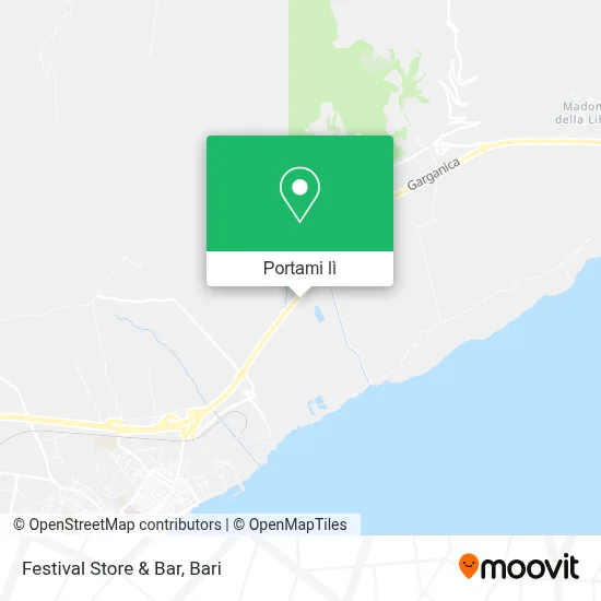 Mappa Festival Store & Bar