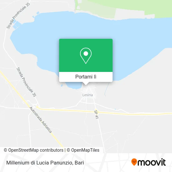 Mappa Millenium di Lucia Panunzio