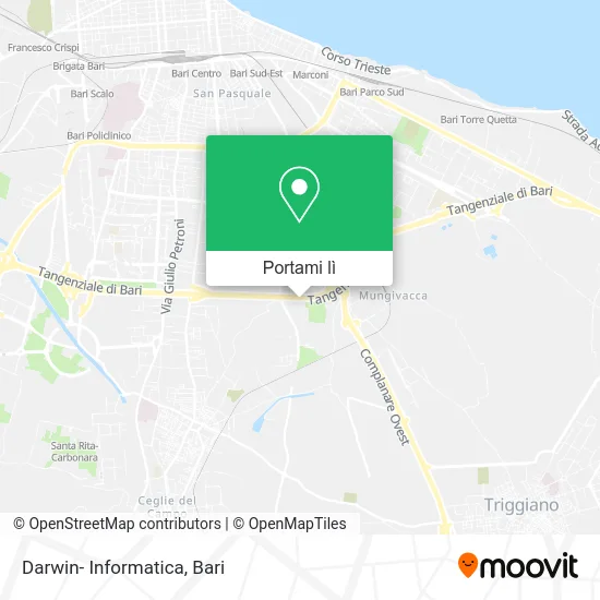 Mappa Darwin- Informatica