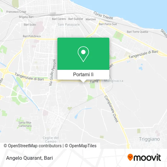 Mappa Angelo Quarant