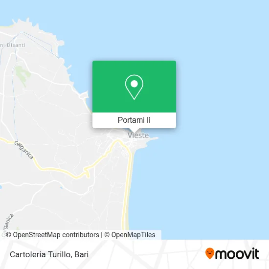 Mappa Cartoleria Turillo