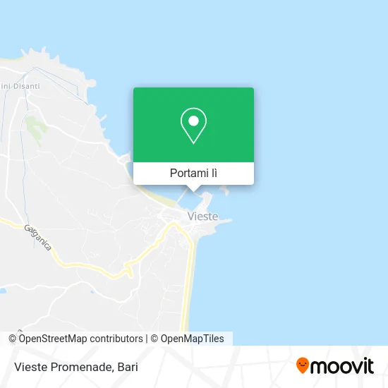 Mappa Vieste Promenade