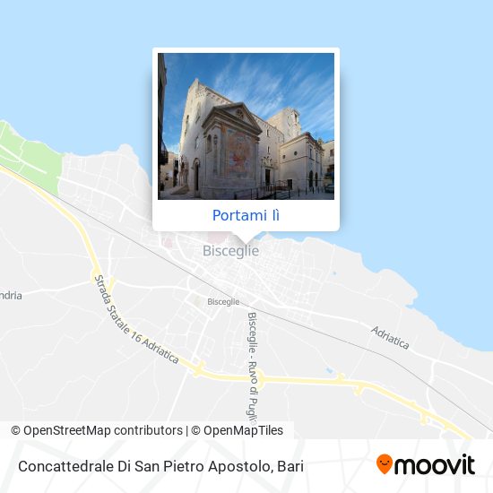 Mappa Concattedrale Di San Pietro Apostolo