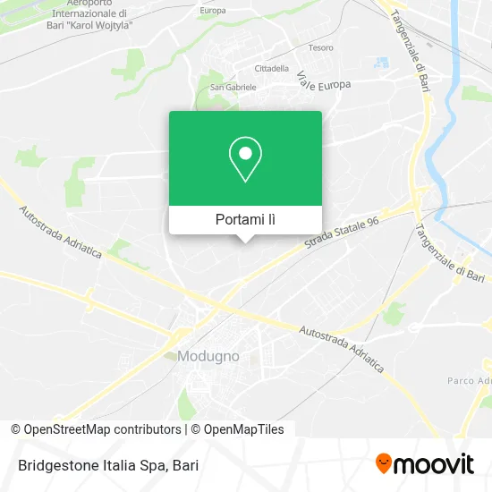 Mappa Bridgestone Italia Spa