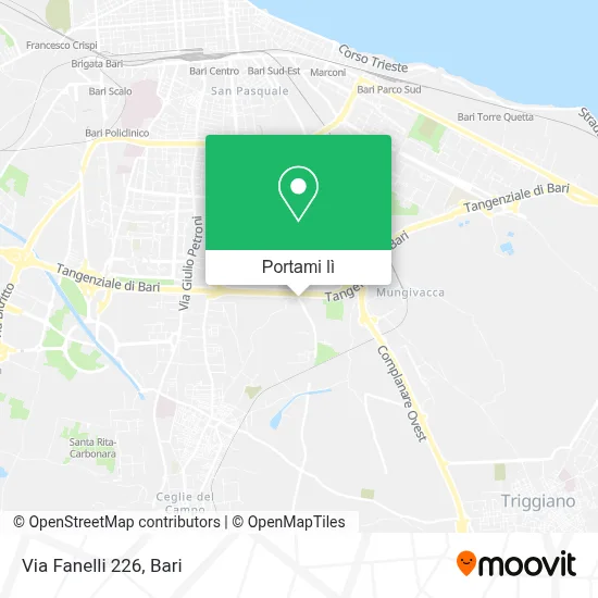 Mappa Via Fanelli  226