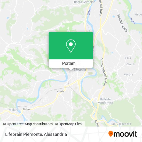 Mappa Lifebrain Piemonte