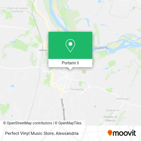 Mappa Perfect Vinyl Music Store