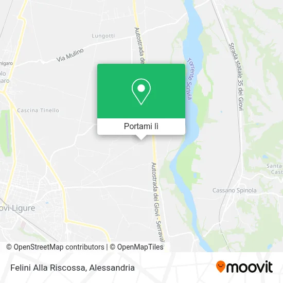 Mappa Felini Alla Riscossa