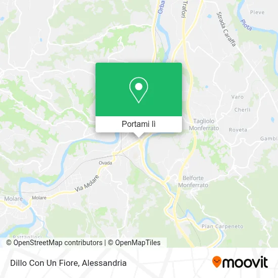Mappa Dillo Con Un Fiore
