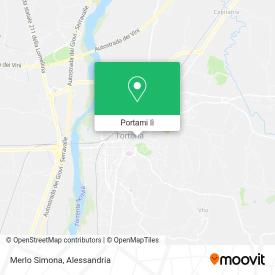 Mappa Merlo Simona