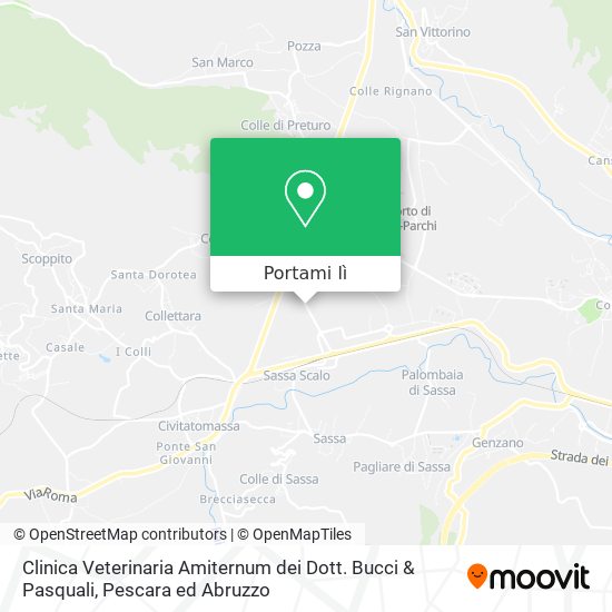 Mappa Clinica Veterinaria Amiternum dei Dott. Bucci & Pasquali