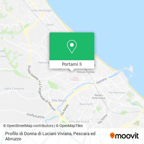 Mappa Profilo di Donna di Luciani Viviana