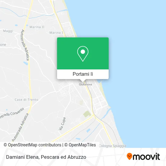 Mappa Damiani Elena