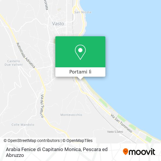 Mappa Arabia Fenice di Capitanio Monica