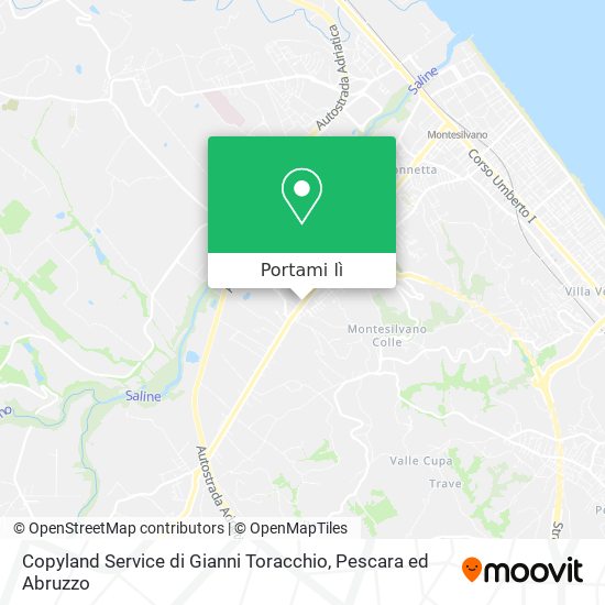 Mappa Copyland Service di Gianni Toracchio