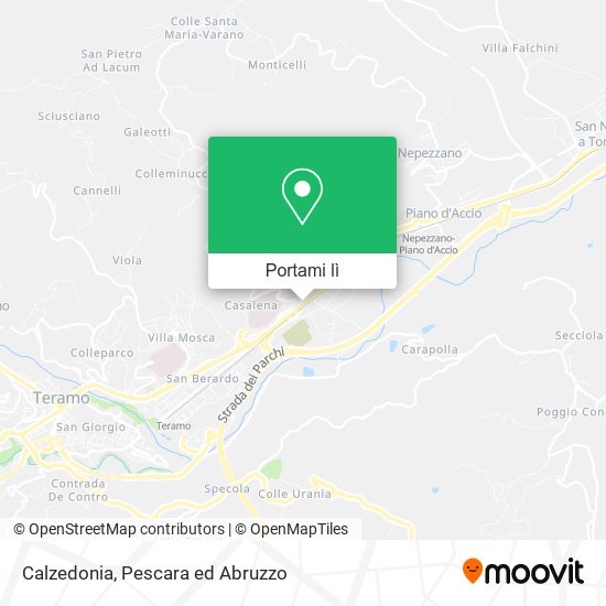 Mappa Calzedonia