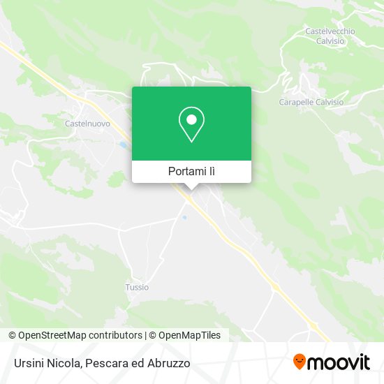 Mappa Ursini Nicola