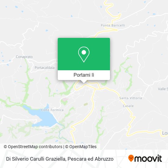 Mappa Di Silverio Carulli Graziella